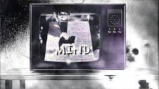 Grande Fox – Promo Social Media 2018