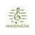 Profile photo of ORXISTRALIVE Greek music performance