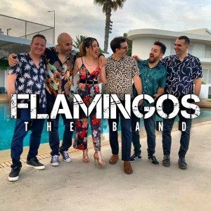 Profile photo of Flamingos The Band