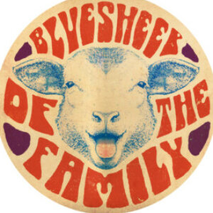 Profile photo of Blue Sheep of the Family Bassadouras